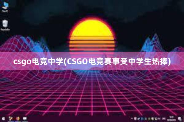 csgo电竞中学(CSGO电竞赛事受中学生热捧)