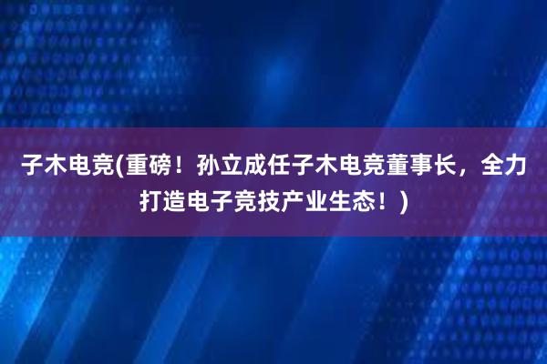 子木电竞(重磅！孙立成任子木电竞董事长，全力打造电子竞技产业生态！)