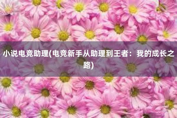 小说电竞助理(电竞新手从助理到王者：我的成长之路)