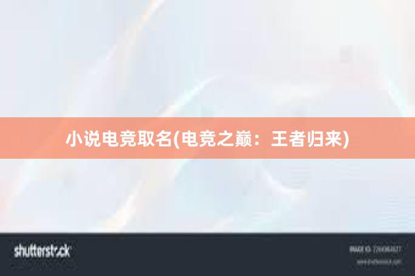 小说电竞取名(电竞之巅：王者归来)