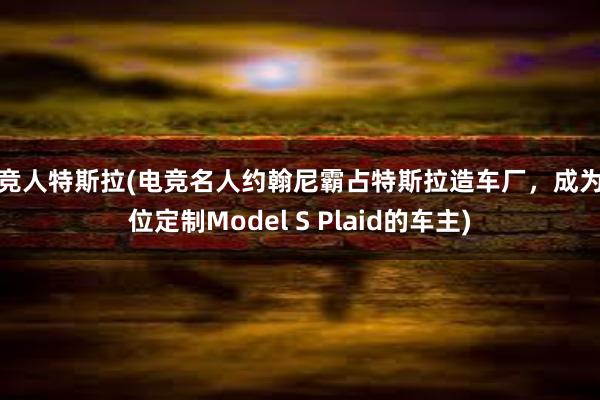 电竞人特斯拉(电竞名人约翰尼霸占特斯拉造车厂，成为首位定制Model S Plaid的车主)