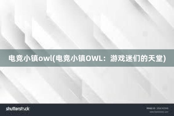 电竞小镇owl(电竞小镇OWL：游戏迷们的天堂)