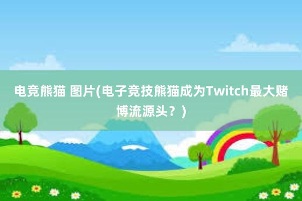 电竞熊猫 图片(电子竞技熊猫成为Twitch最大赌博流源头？)