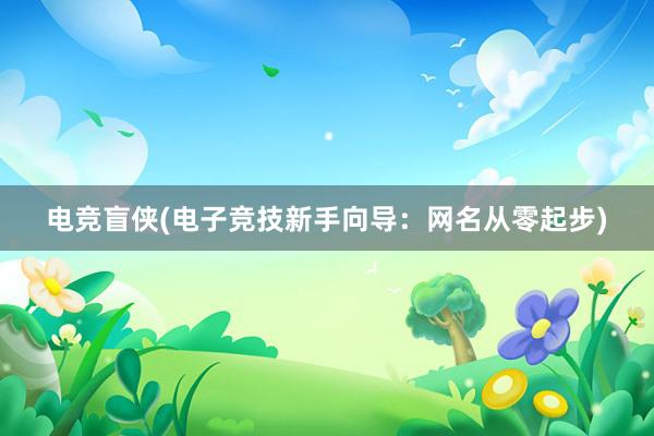 电竞盲侠(电子竞技新手向导：网名从零起步)