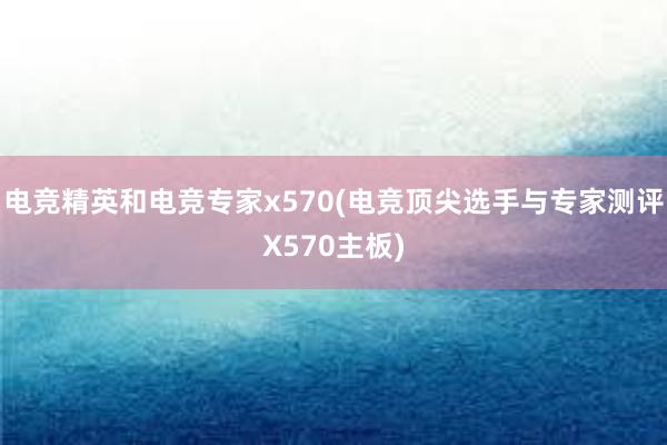 电竞精英和电竞专家x570(电竞顶尖选手与专家测评X570主板)