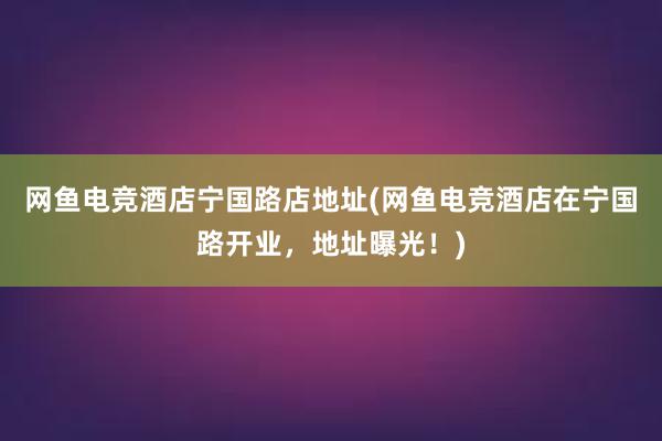 网鱼电竞酒店宁国路店地址(网鱼电竞酒店在宁国路开业，地址曝光！)