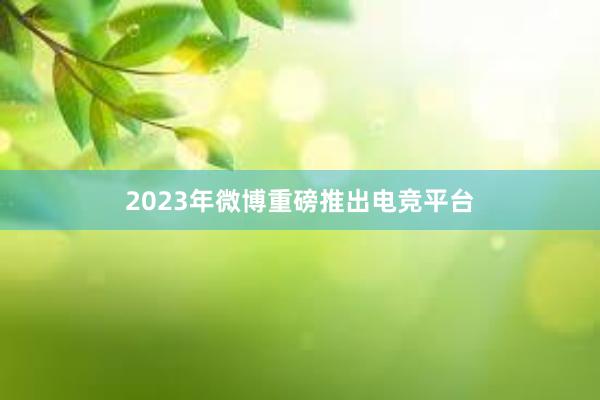 2023年微博重磅推出电竞平台