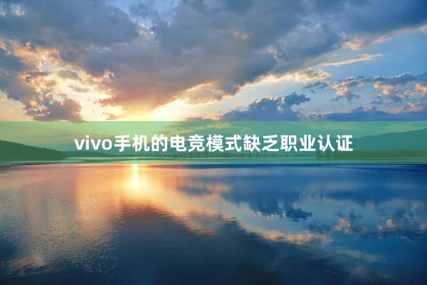 vivo手机的电竞模式缺乏职业认证