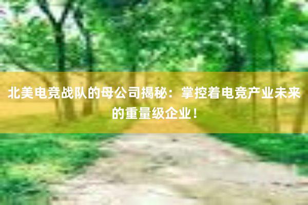 北美电竞战队的母公司揭秘：掌控着电竞产业未来的重量级企业！