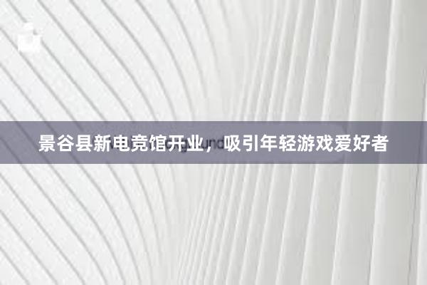 景谷县新电竞馆开业，吸引年轻游戏爱好者