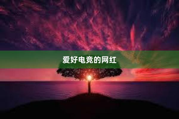 爱好电竞的网红