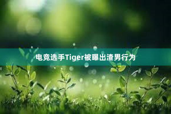 电竞选手Tiger被曝出渣男行为