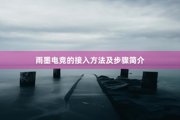 雨墨电竞的接入方法及步骤简介