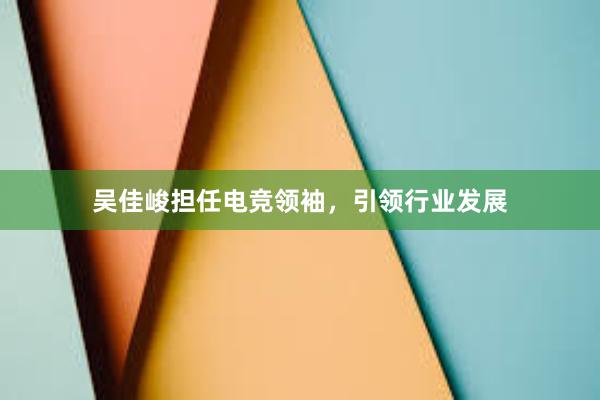 吴佳峻担任电竞领袖，引领行业发展